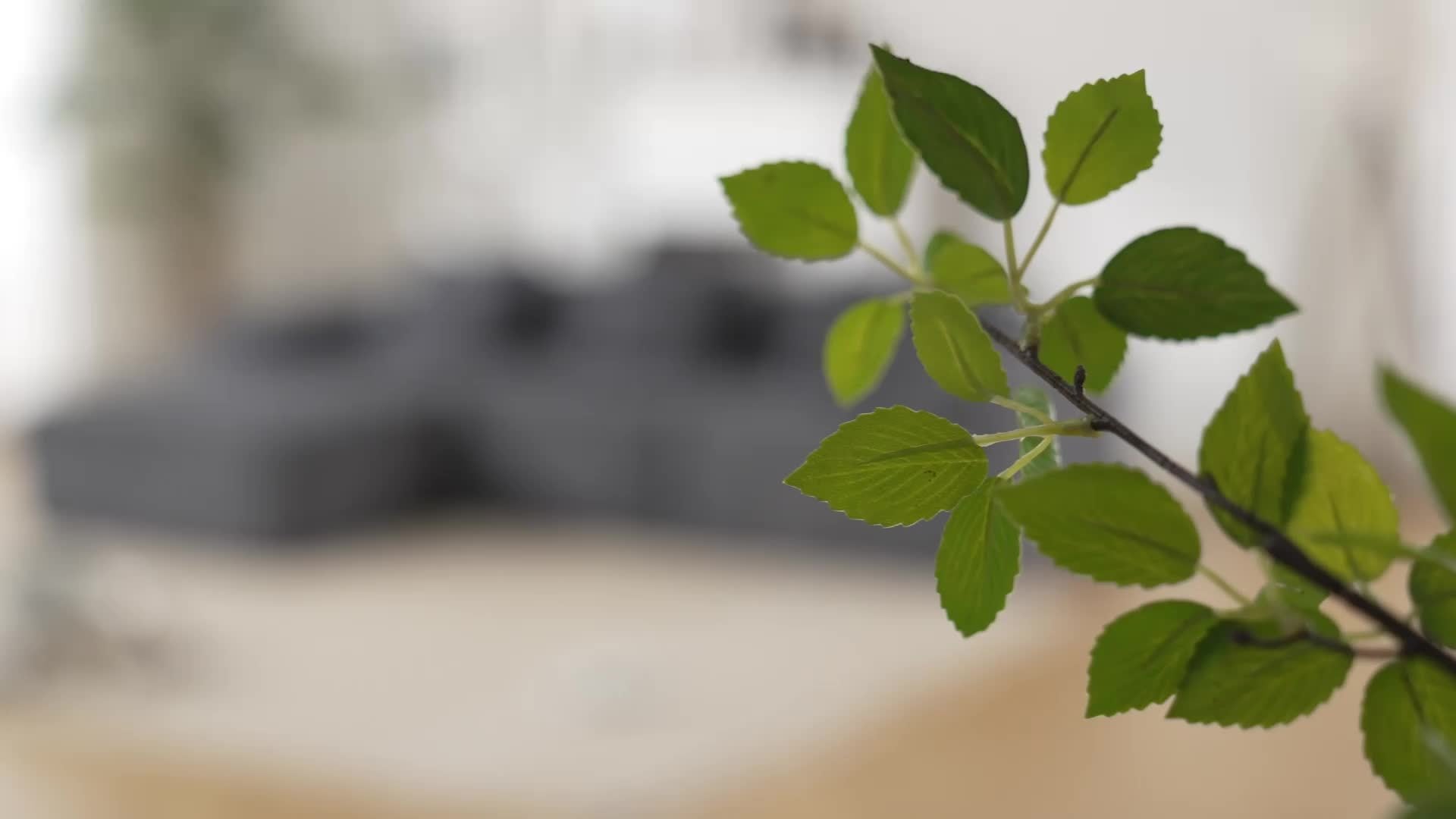 Modern Modular L-Shaped Sectional Sofa with Right-Facing Chaise - Upholstered Cloud Couch, Deep Seats & Back, Modular Suitable for Living Room, Apartment, - Assembly, No Wood Frame ()